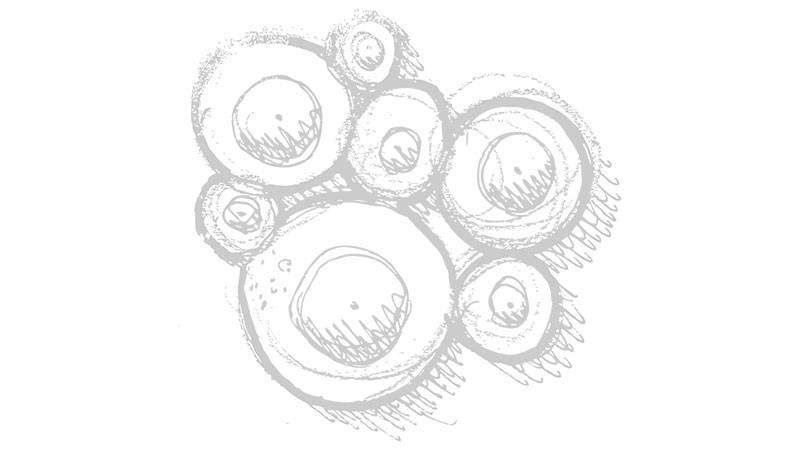 origini-fikissimo-origin-fikissimo prime bozze disegnate dei prodotti fikissimo